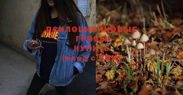 мескалин Нефтекумск