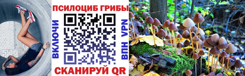 Галлюциногенные грибы Cubensis shop клад Ангарск купить наркоту